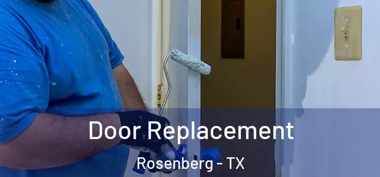  Door Replacement Rosenberg - TX