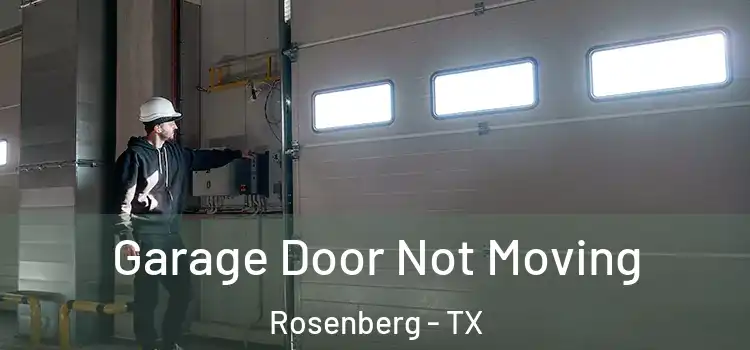  Garage Door Not Moving Rosenberg - TX