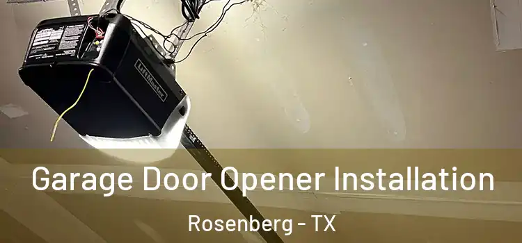  Garage Door Opener Installation Rosenberg - TX