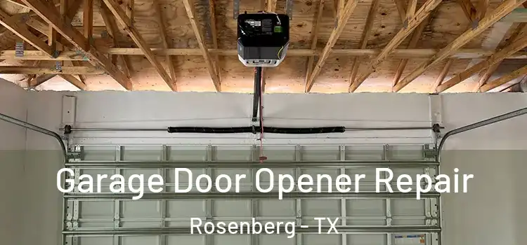  Garage Door Opener Repair Rosenberg - TX