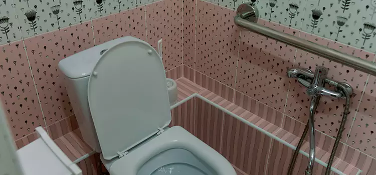 Meeting Diverse Needs With Accessible Restroom Solutions in Rosenberg, TX