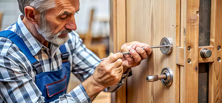 Mortise Replacement Lock Rosenberg